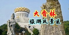 日本极品绝色视频中国浙江-绍兴大香林旅游风景区